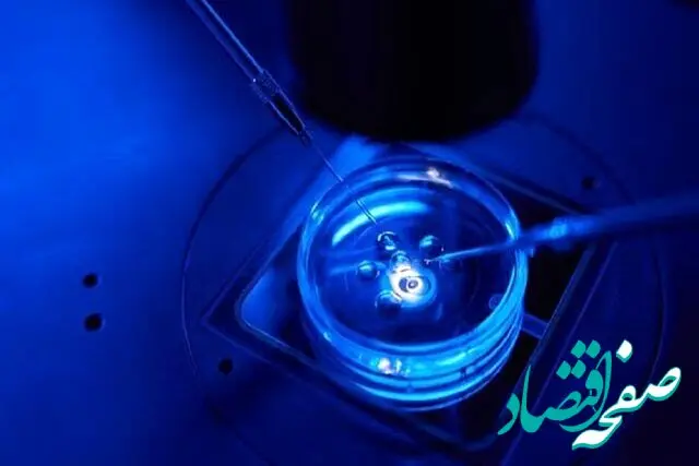 فوری؛ نخستین «قرص بارداری» ساخته شد!