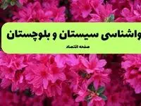 پیش بینی وضعیت آب و هوا سیستان و بلوچستان فردا سه شنبه ۲۰ خرداد ماه ۱۴۰۴ | وضعیت هواشناسی زاهدان ۲۴ ساعت آینده