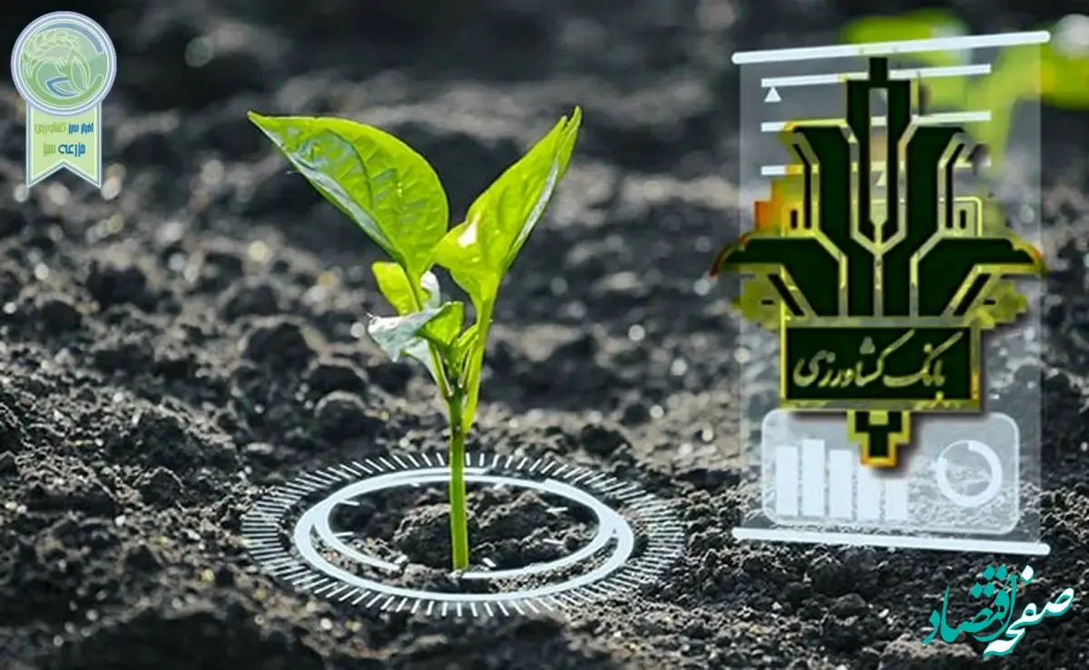 الزامات بانک کشاورزی برای بهره‌گیری از هوش مصنوعی در ارائه بهتر خدمات بانکی