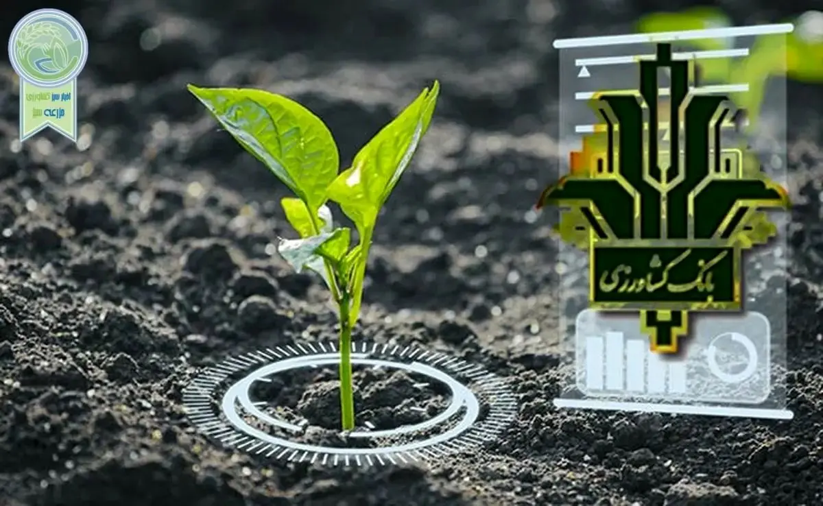 الزامات بانک کشاورزی برای بهرهگیری از هوش مصنوعی در ارائه بهتر خدمات بانکی
