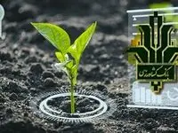 الزامات بانک کشاورزی برای بهره‌گیری از هوش مصنوعی در ارائه بهتر خدمات بانکی