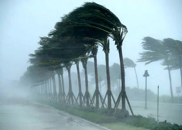 هواشناسی فردا ایران؛ هشدار افزایش وزش باد و ارتفاع موج در این مناطق