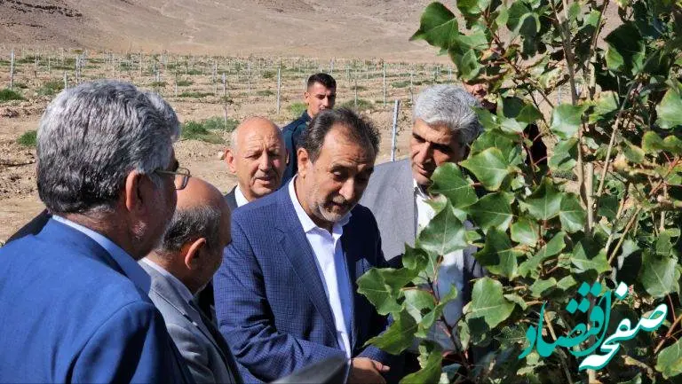 سرمایه گذاری های حوزه کشاورزی منطقه آزاد ماکو افتخارآمیز است