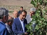 سرمایه گذاری های حوزه کشاورزی منطقه آزاد ماکو افتخارآمیز است