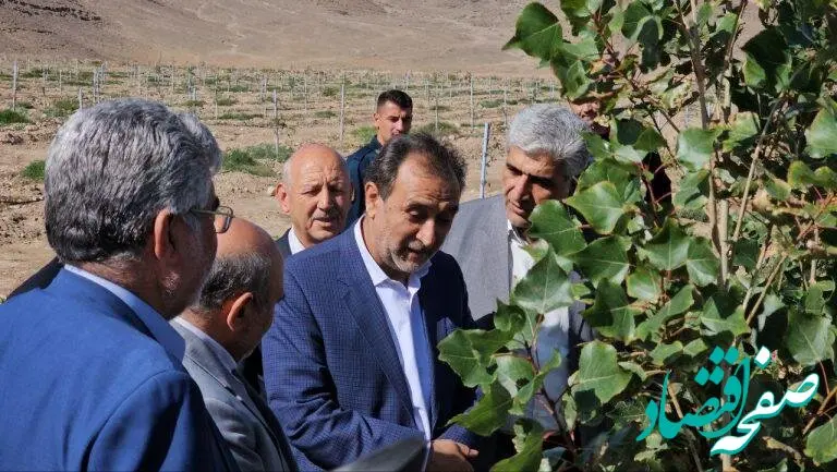 سرمایه گذاری های حوزه کشاورزی منطقه آزاد ماکو افتخارآمیز است