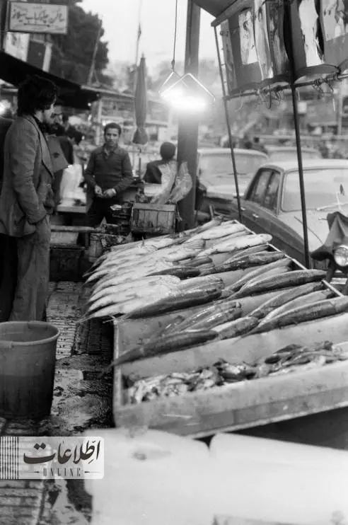 ماهی سفید شب عید دانه‌ایی ۱۵ تومان + عکس و خبر