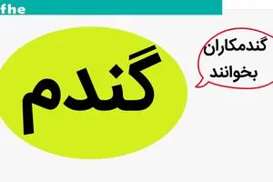 پایان هفته وعده جدید پرداخت مطالبات گندمکاران | وعده جدید داده شد