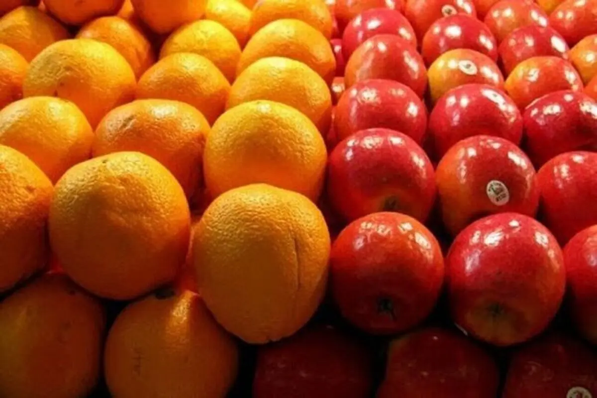 خبر خوش برای میوه شب عید!/ذخیره 20 هزار تن سیب و پرتقال با تخفیف ویژه!