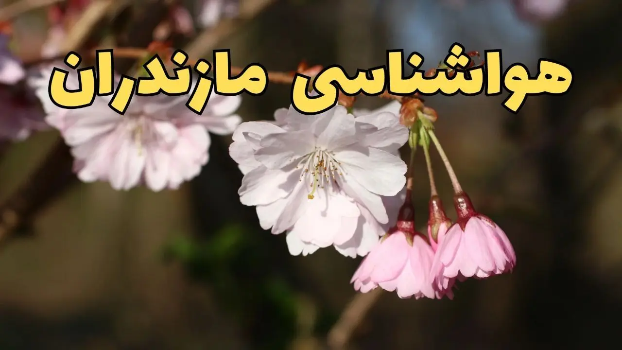 پیش بینی هواشناسی ساری ۲۴ ساعت آینده | وضعیت آب و هوا مازندران فردا سه شنبه ۱۲ فروردین ماه ۱۴۰۴ | آب و هوای ساری در روز ۱۳ بدر + هواشناسی مازندران