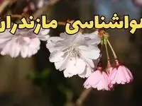 پیش بینی هواشناسی ساری ۲۴ ساعت آینده | وضعیت آب و هوا مازندران فردا سه شنبه ۱۲ فروردین ماه ۱۴۰۴ | آب و هوای ساری در روز ۱۳ بدر + هواشناسی مازندران