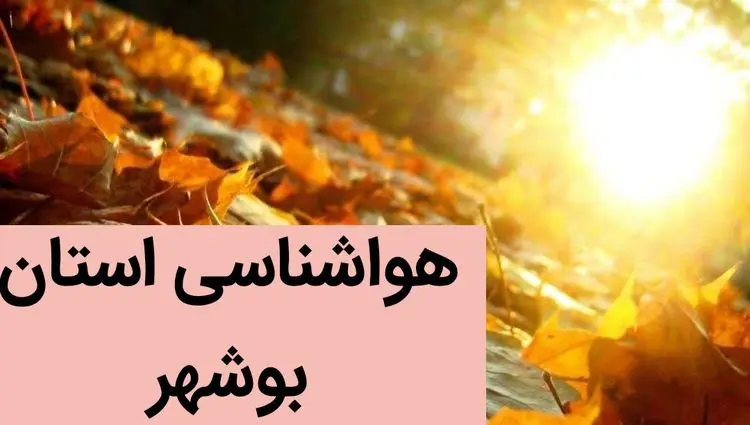 پیش بینی وضعیت آب و هوا بوشهر فردا شنبه ۳ آذر ماه ۱۴۰۳ | هوای بوشهر فردا ۳ آذر ۱۴۰۳ چگونه خواهد شد؟ 