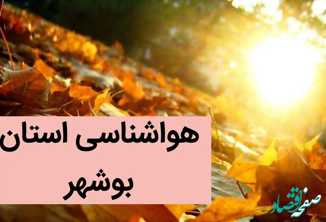 پیش بینی وضعیت آب و هوا بوشهر فردا شنبه ۱۰ آذر ماه ۱۴۰۳ | هواشناسی بوشهر در ۲۴ ساعت آینده