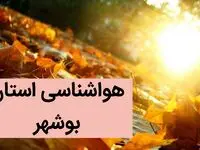 وضعیت آب و هوا بوشهر فردا جمعه ۲۸ دی ماه ۱۴۰۳ + آب و هوا و هواشناسی بوشهر فردا