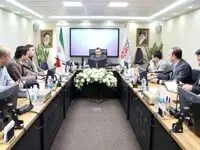 تاکید سمیعی نژاد بر تکمیل زنجیره تولید الکترود گرافیتی در کشور