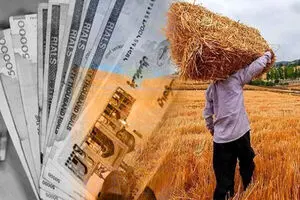 گندم‌کاران هنوز طلبکارند/  مطالبات پرداخت نشده تولید سال آینده را تهدید می‌کند