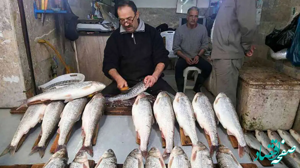 جدیدترین قیمت روز انواع ماهی امروز  یکشنبه ۵ اسفند ۱۴۰۳ در بازار