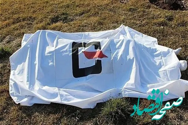 ماجرای مشکوک مرگ شرور جوان در تهران چه بود؟ 