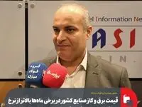 قیمت برق و گاز صنایع کشور در برخی ماه‌ها بالاتر از نرخ جهانی است/ مصرف برق فولاد مبارکه پایین‌تر از میانگین جهانی