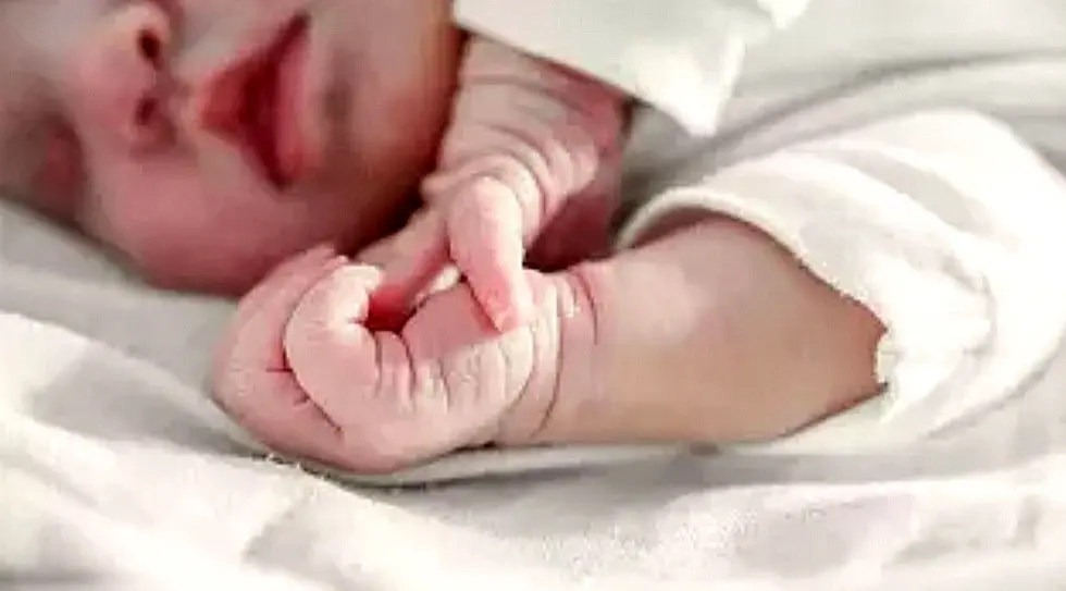 دختری اهل ایران زمین، کوچکترین زائر کربلا