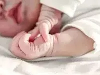 دختری اهل ایران زمین، کوچکترین زائر کربلا