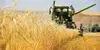 پول گندمکاران کجاست؟ وعده پرداخت روی زمین ماند!