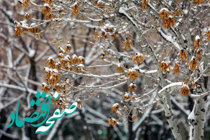 پیش بینی وضعیت آب و هوا البرز فردا ۲۷ آذر ماه ۱۴۰۳ | هواشناسی البرز ۲۴ ساعت آینده
