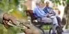 اطلاعیه مهم تامین اجتماعی برای بازنشستگان و مستمری بگیران