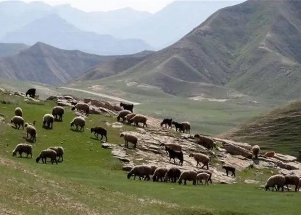 جدیدترین نرخ تعرفه های مرتعی در سال ۱۴۰۵ اعلام شد