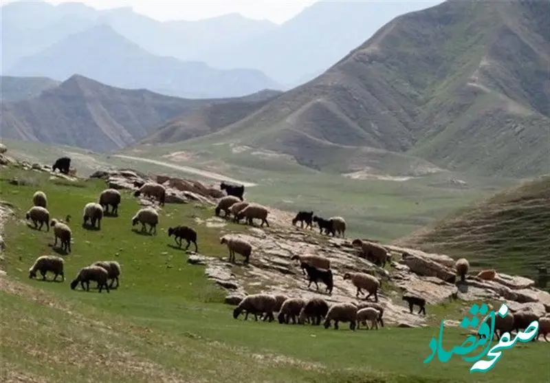 جدیدترین نرخ تعرفه های مرتعی در سال ۱۴۰۵ اعلام شد