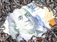 واکنش بانک مرکزی به تخلفات تخصیص ارز به چای دبش