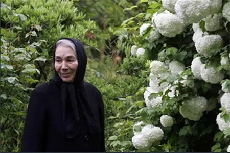 عکسی از جوانی پروانه معصومی که پربازدید شد