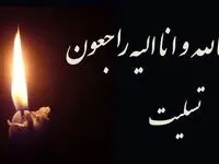 پیام تسلیت ریاست هیئت عامل ایمیدرو در پی ضایعه دردناک درگذشت همکاران گرانقدر و پرتلاش شرکت ایریتک