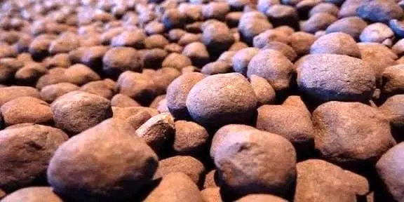 افزایش ۵۰ درصدی قیمت گندله در بورس کالا نسبت به نرخ جهانی