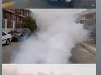 اجرای عملیات مه پاشی جهت کنترل وفور پشه مهاجم آئدس در منطقه آزاد، مه پاشی با استفاده از دستگاه‌های مه پاش (fogging equipment)