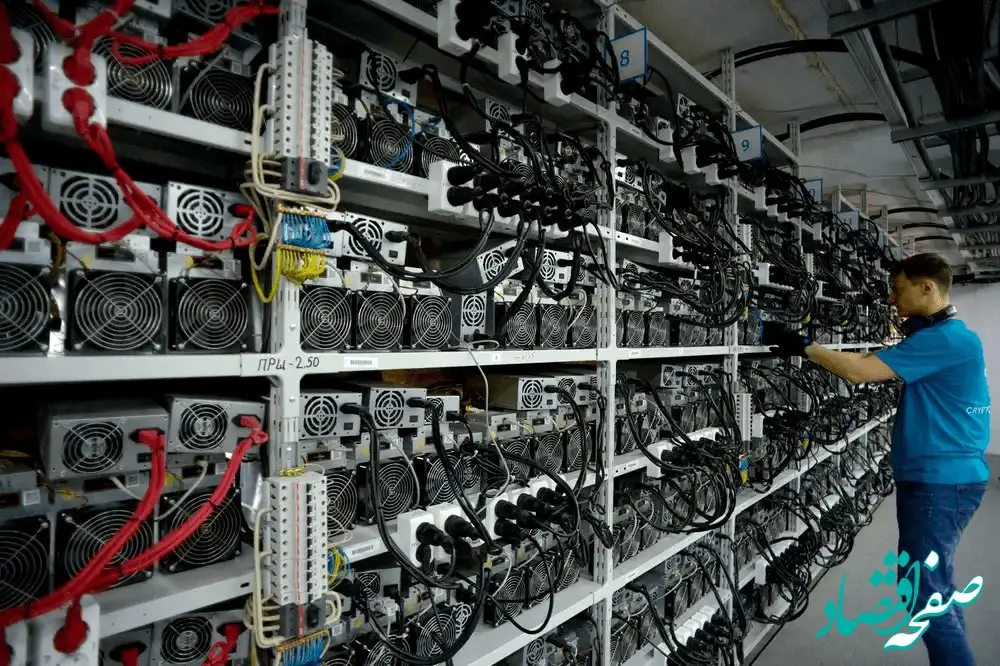 پاداش ۵۰ میلیونی فقط با یک گزارش | فرصتی که نباید از دست بدهید