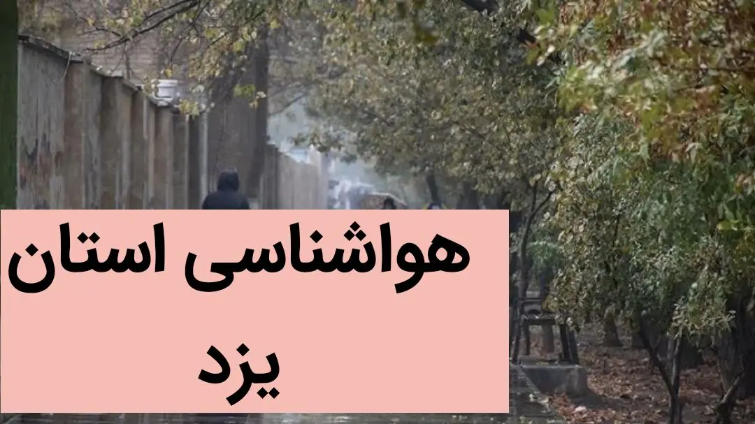 هواشناسی یزد طی ۲۴ آینده | پیش بینی وضعیت آب و هوا فردا یزد سه شنبه ۲ بهمن ماه ۱۴۰۳ 