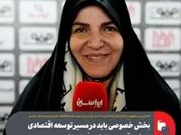 بخش خصوصی باید در مسیر توسعه اقتصادی و رشد اقتصادی کشور فعال باشد
