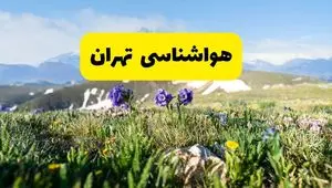 هواشناسی تهران فردا شنبه ۳۱ خرداد ۱۴۰۴ + پیش بینی وضعیت آب و هوا تهران ۲۴ ساعت آینده