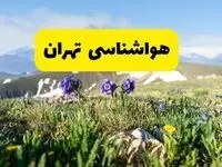 هواشناسی تهران طی ۲۴ ساعت آینده | پیش بینی وضعیت آب و هوا تهران فردا جمعه ۹ خرداد ۱۴۰۴ + خبر فوری از خیزش گرد و خاک 