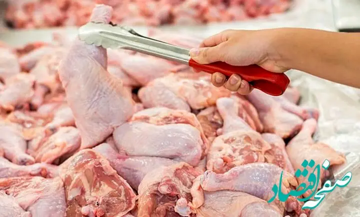 قیمت مرغ امروز دوشنبه ۲۴ فروردین ۱۴۰۵ | مرغ کیلویی چند؟ 