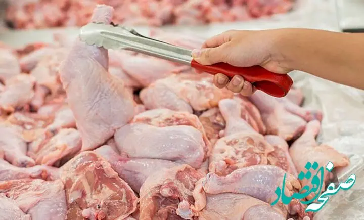 قیمت مرغ امروز دوشنبه ۲۴ فروردین ۱۴۰۵ | مرغ کیلویی چند؟ 