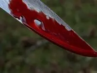 قتل هولناک خواهر و پسر ۵ ساله‌اش با تبر در توطئه زنانه! شوهرخواهر و خواهر در انتظار قصاص 
