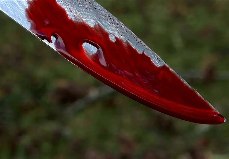 قتل هولناک خواهر و پسر ۵ سالهاش با تبر در توطئه زنانه! شوهرخواهر و خواهر در انتظار قصاص
