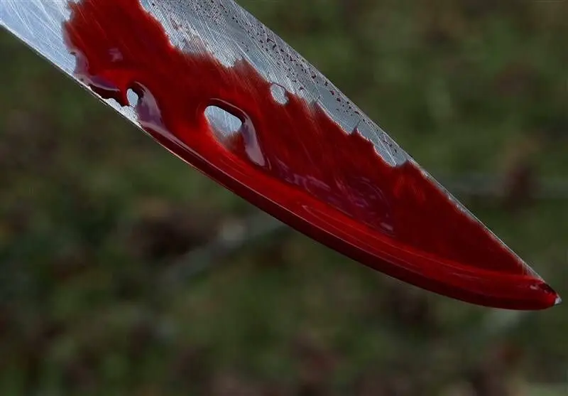 قتل هولناک خواهر و پسر ۵ ساله‌اش با تبر در توطئه زنانه! شوهرخواهر و خواهر در انتظار قصاص 