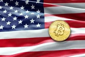 مشاور سابق رئیس جمهور آمریکا: باید دولت آمریکا برای خرید بیت کوین دست به کار شود