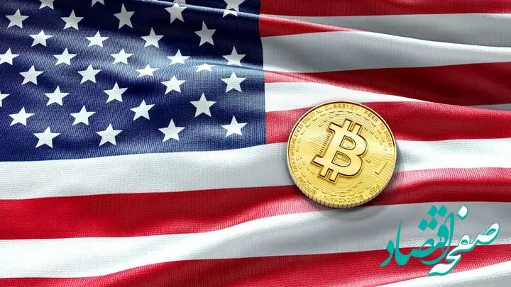 مشاور سابق رئیس جمهور آمریکا: باید دولت آمریکا برای خرید بیت کوین دست به کار شود