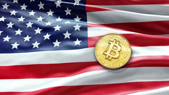 مشاور سابق رئیس جمهور آمریکا: باید دولت آمریکا برای خرید بیت کوین دست به کار شود