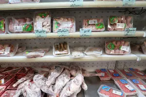 تشریح جزئیات نحوه واردات گوشت در شرایط جنگی