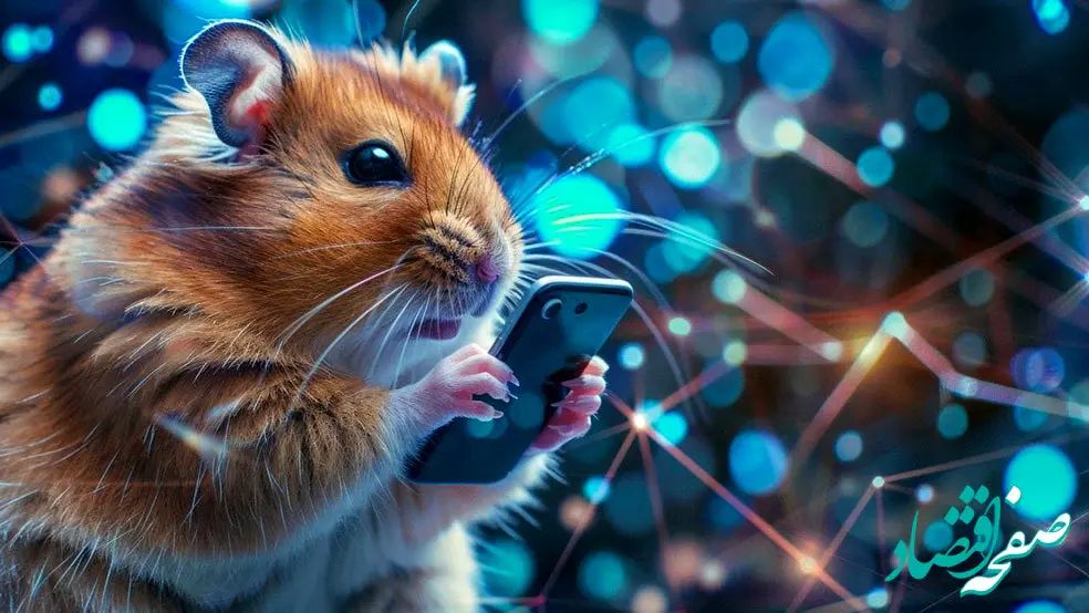 کارت بازی امروز همستر جمعه ۲۳ شهریور ۱۴۰۳