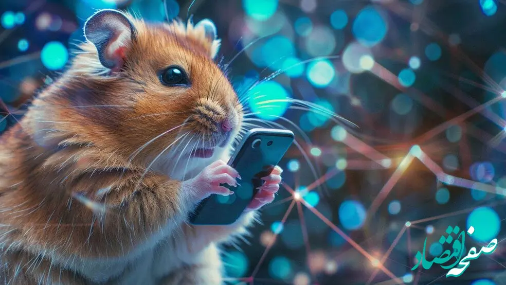 کارت بازی امروز همستر جمعه ۲۳ شهریور ۱۴۰۳